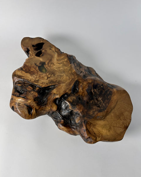 Swamp Kauri, Rupert Newbold, Hand Carved, NZ Wood turner, NZ Kauri, Sculpture, Made in New Zealand