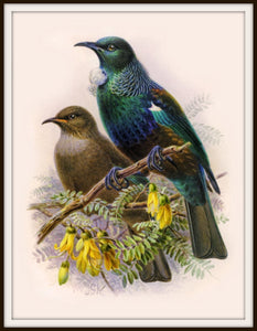 The Fantail House, Printed in New Zealand, Bullers , Birds, Native, Tui