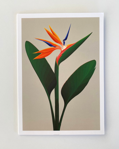 greeting, card, Cathy, Hansby, Bird, paradise