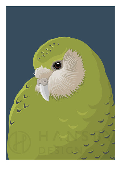The Fantail House, Cathy Hansby, Art Prints, Native, Birds, Kakapo, Baby