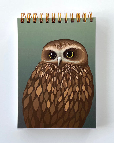 The Fantail House, Cathy Hansby, Notebooks, Morepork, Ruru