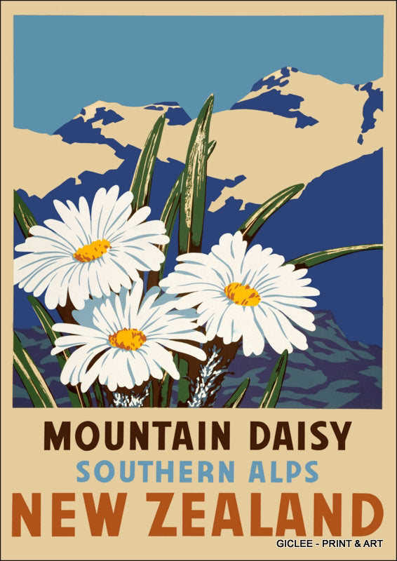 The Fantail House, Printed in New Zealand, Railways, Studios, Tourism, Art, Prints, Vintage, The Fantail House, Mountain, Daisy