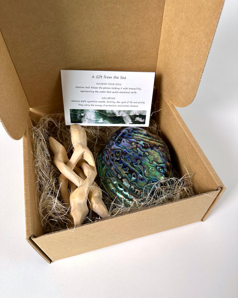 Soul Shell – The Fantail House