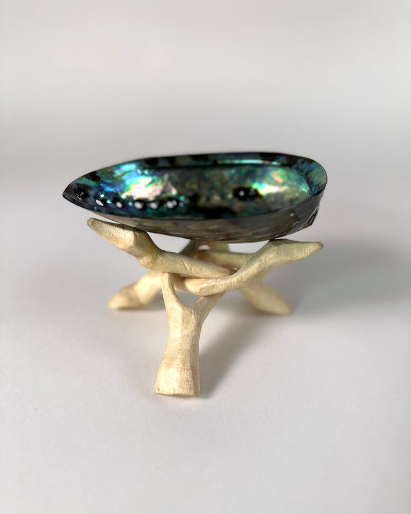 Soul Shell – The Fantail House