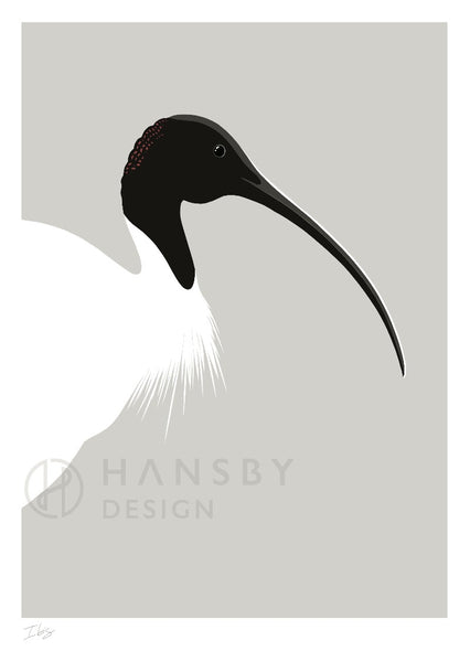 The Fantail House, Made in New Zealand, Cathy Hansby, Art Prints, Exotic Birds, Ibis