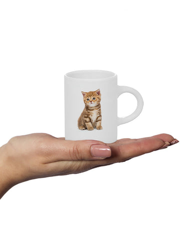 Fluffy Mug Kitten, Kids Novelty Mugs, NZ made, Fantail House