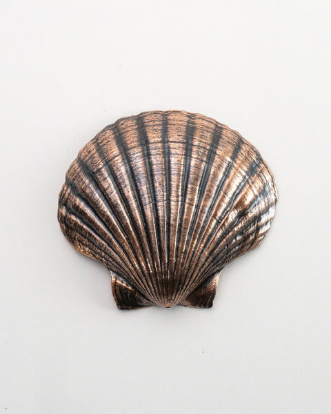 The Fantail House, Made in NZ, Copper Scallop Shell