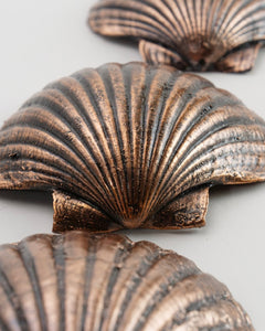 The Fantail House, Made in NZ, Copper Scallop Shell