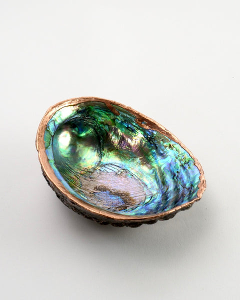 The Fantail House, Made in NZ, Copper Paua Shell