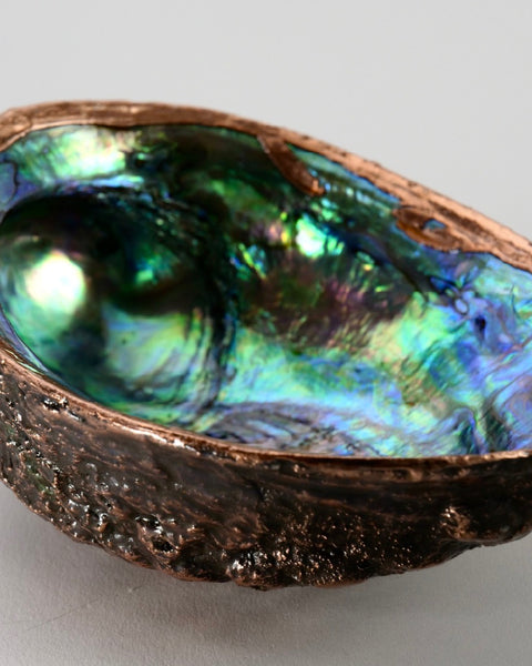 Copper Paua Shells