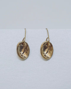 The Fantail House, Stone Arrow, Made in NZ, Gold Paua Earrings