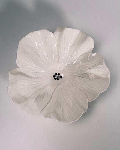 https://www.thefantailhouse.co.nz/cdn/shop/products/TomSommerville_hibiscus_bowl_ceramic_1_large.jpg?v=1661330878